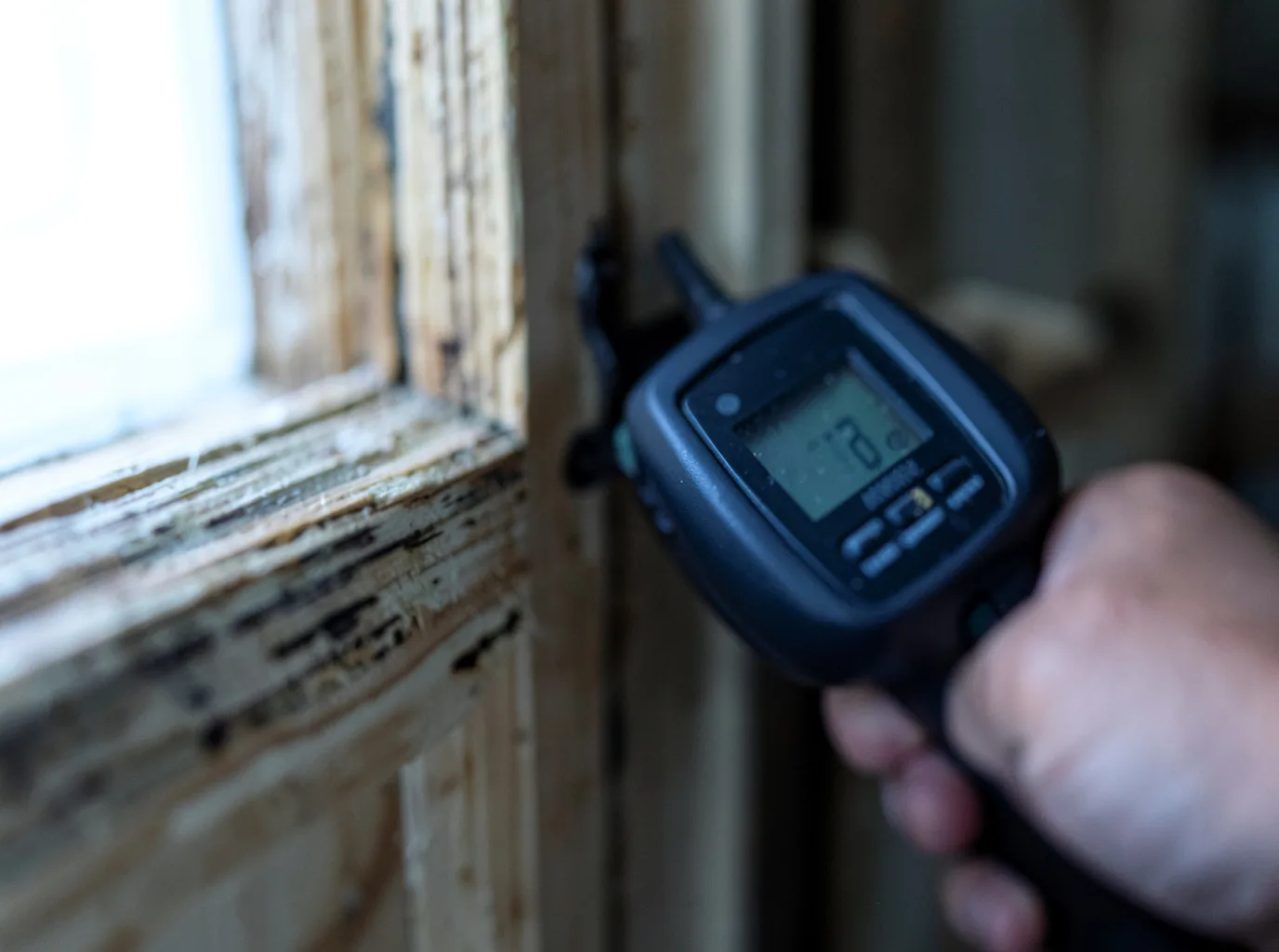 Moisture Inspection And Documentation in Castleberry, AL